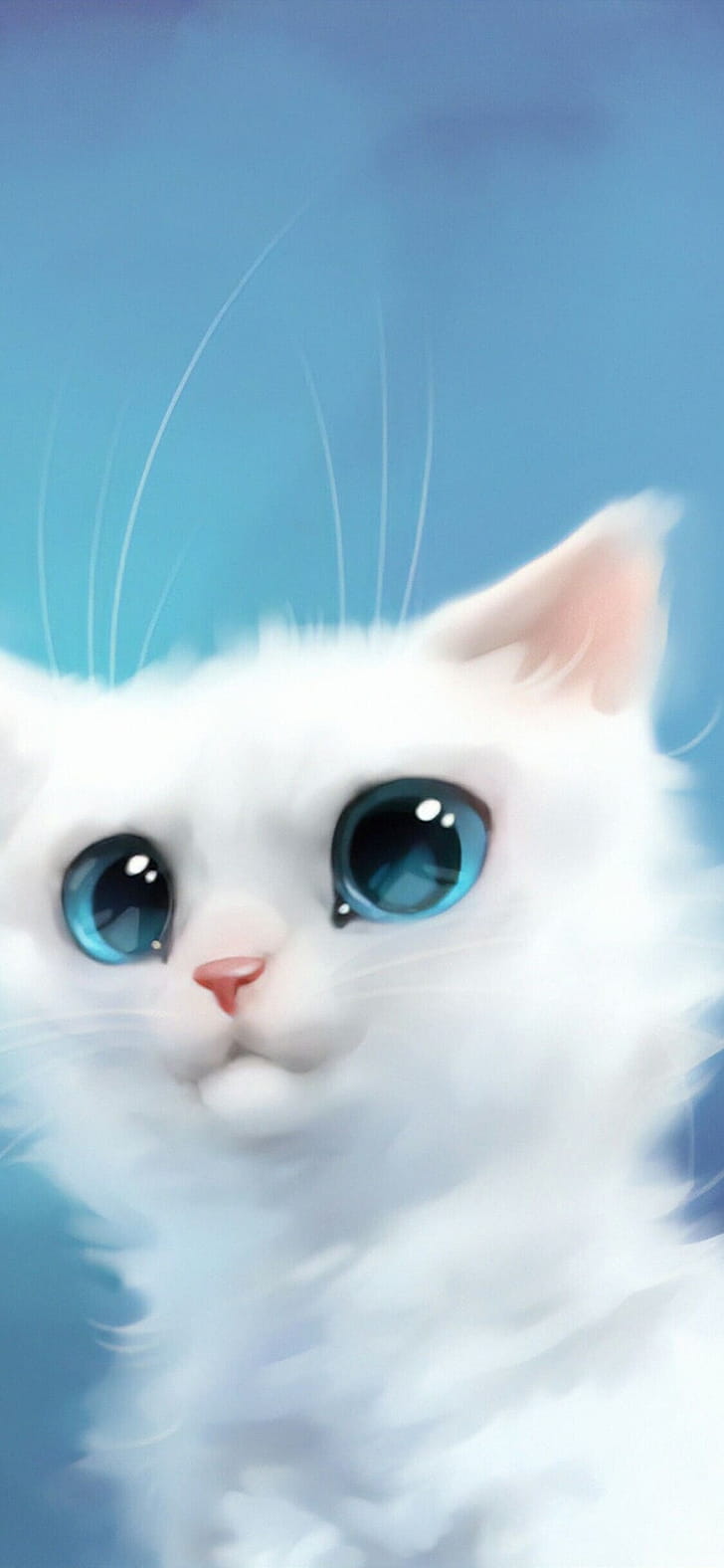 Cat ,  background phone wallpaper