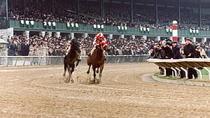 Seabiscuit, , Background wallpaper