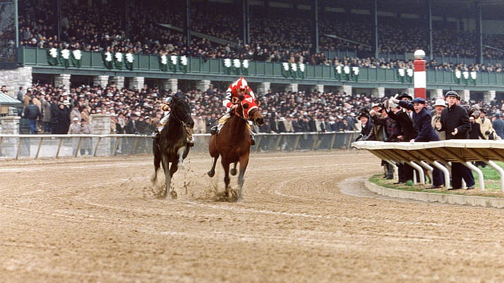 Seabiscuit, , Background wallpaper