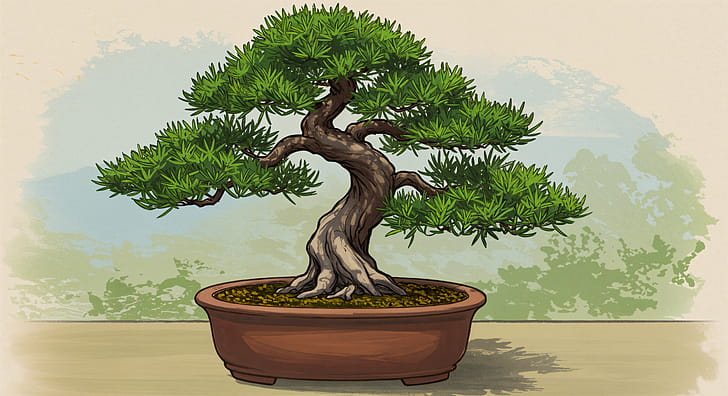 Bonsai Tree wallpaper