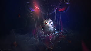 Owl 8k, owl, birds, artist, artwork, digital-art, deviantart wallpaper