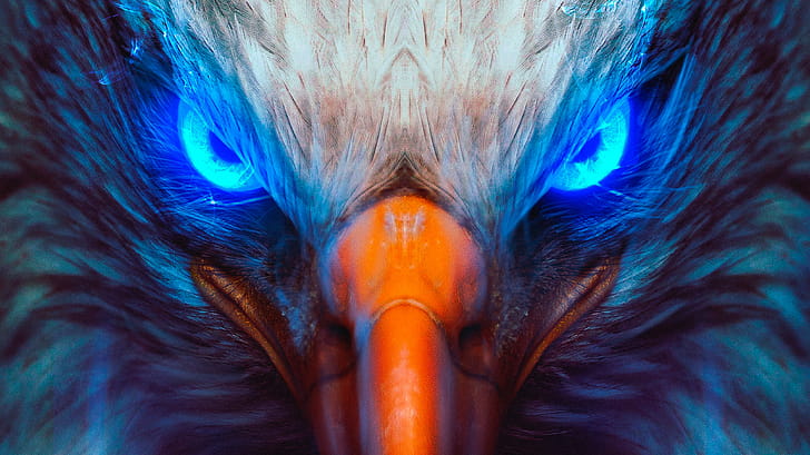 Eagle Eye, eagle, artwork, animals wallpaper