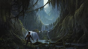 Fallen Order, Star Wars wallpaper