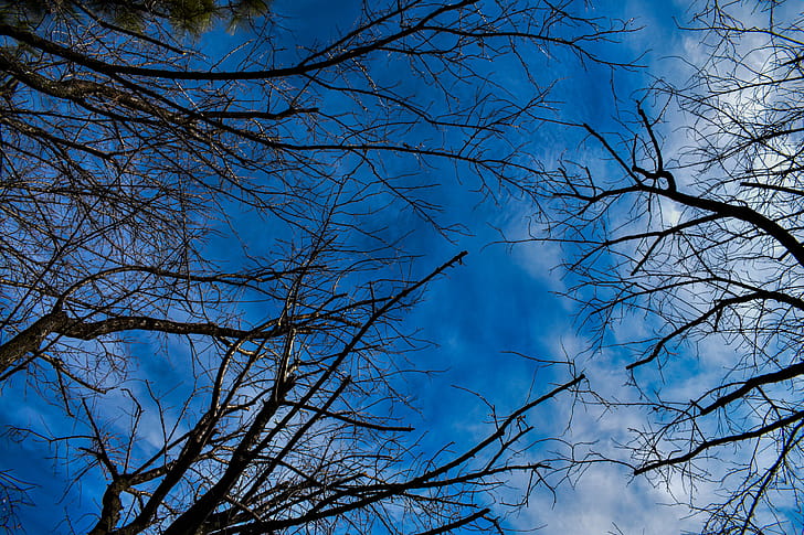Blue sky wallpaper