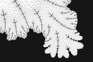 Abstract Leaf Tree Pattern, abstract, leaf, black-and-white, behance wallpaper