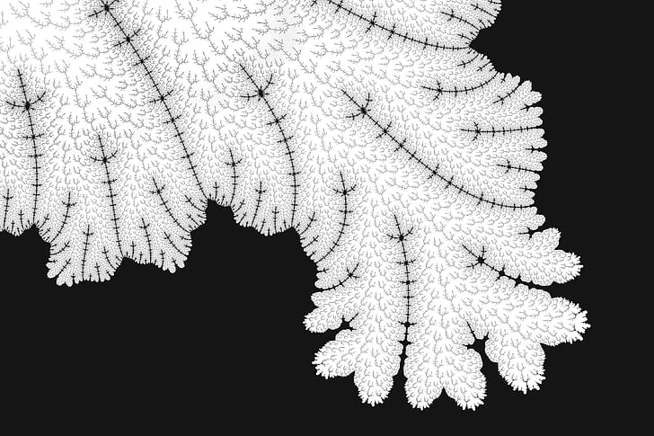 Abstract Leaf Tree Pattern, abstract, leaf, black-and-white, behance wallpaper
