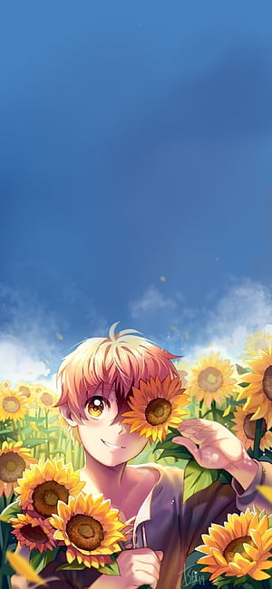 sunflower, Comic phone wallpaper