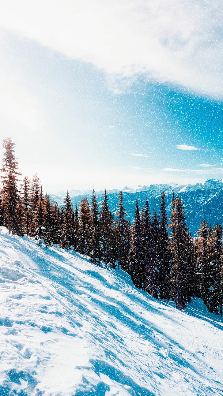 nature, winter phone wallpaper