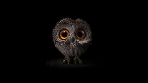Pinfeather Fluffy Owl , owl, birds, artist, artwork, digital-art wallpaper