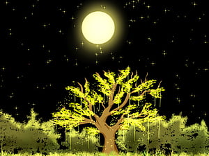 tree, tree wallpaper
