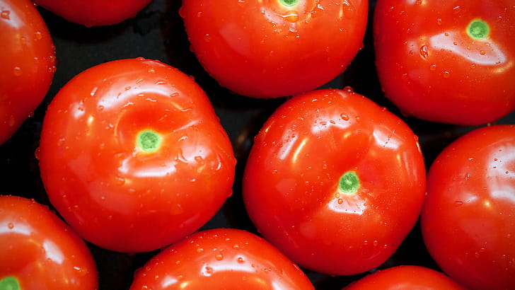 Tomato, , Background, wallpaper