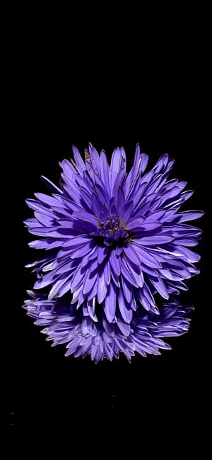 background , Nature phone wallpaper