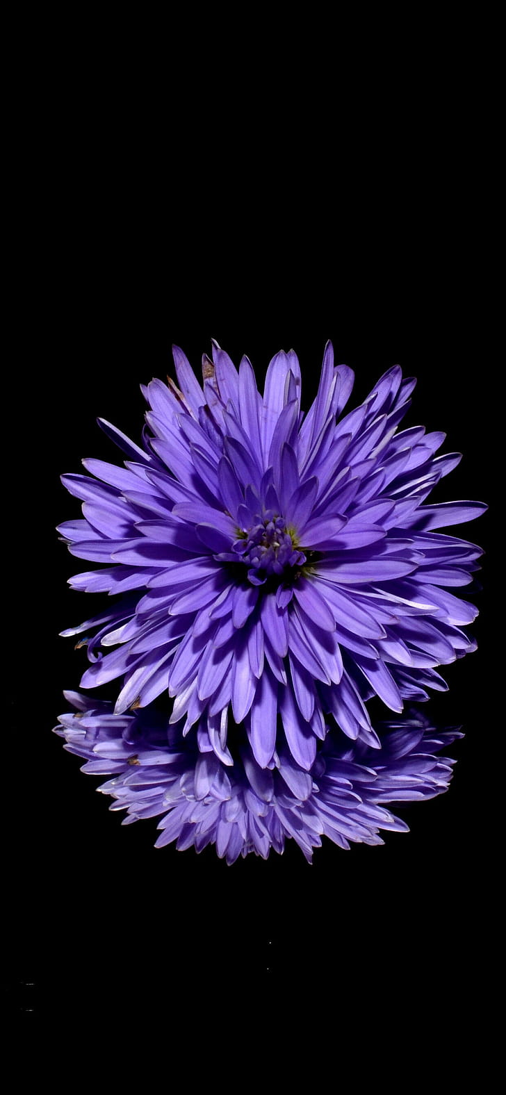 background , Nature phone wallpaper