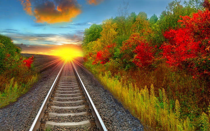 Tree,  , Railroad, Fall wallpaper