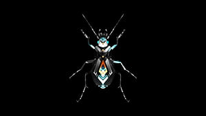 Insect, Facets wallpaper