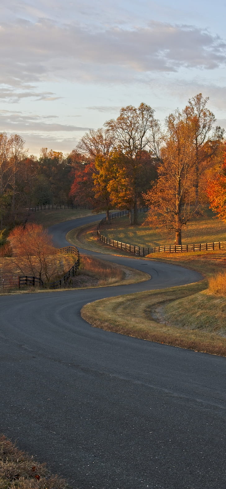 fall, man made, road phone wallpaper