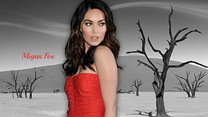 Megan Fox, Celebrity, Actress wallpaper