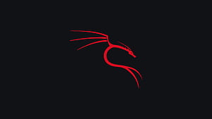 Kali Linux - Red, Kali Linux, .hack, Linux wallpaper