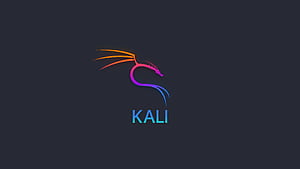 Kali Linux , kali-linux, linux, computer wallpaper