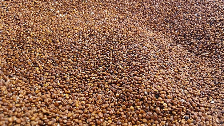 Amaranth comparison, Quinoa analysis, Nutritional value, Informative article wallpaper