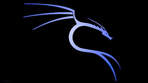 BackTrack Linux, kali-linux, backtrack, linux, computer, logo, dark, black wallpaper
