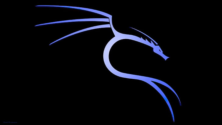 BackTrack Linux, kali-linux, backtrack, linux, computer, logo, dark, black wallpaper