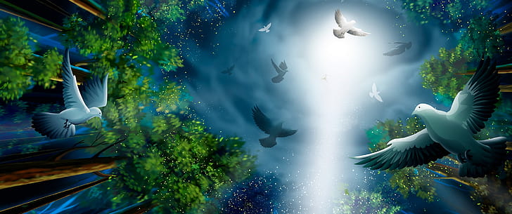 Artwork, Pigeons wallpaper