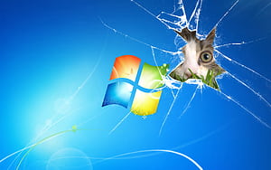 Computer, Cat, Microsoft, Humor wallpaper