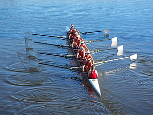Rowing , Rowing backgrounds,  rowing , Rowing wallpaper