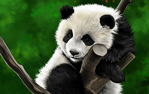 Drawing, Panda, Animal wallpaper