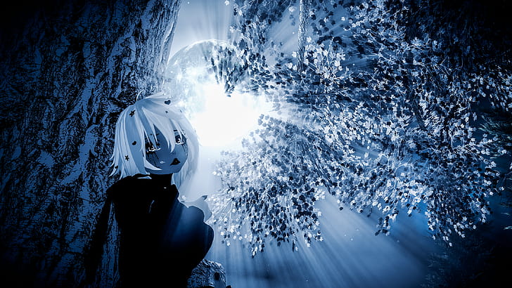 Noire/Godrays, VRChat wallpaper