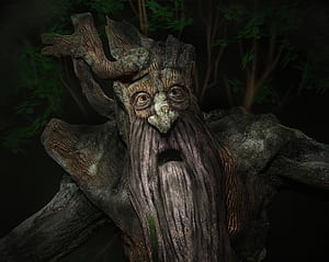 Treebeard character, Work-in-progress render, Skyrim mod, Elder Scrolls project wallpaper
