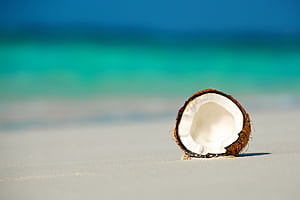 Beach, Coconuts wallpaper