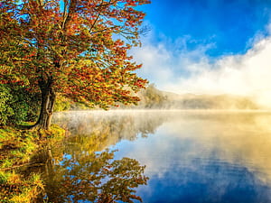 Trees,  , Tree, Fall, Lake, Reflection wallpaper