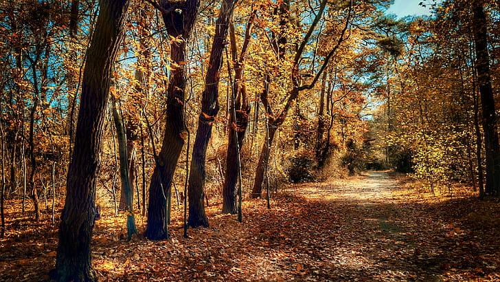 landscape wallpaper
