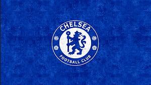 EPL , cat wallpaper