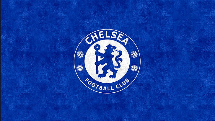 EPL , cat wallpaper