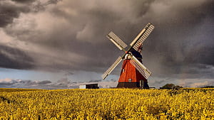 Windmill, Denmark wallpaper