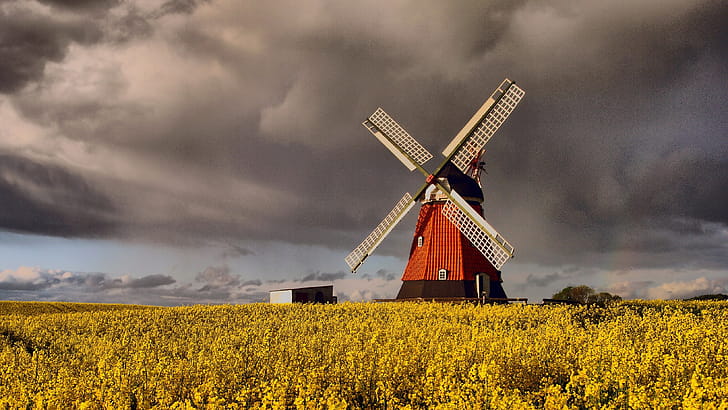 Windmill, Denmark wallpaper