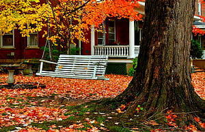 House,  , Swing, Fall, Leaf wallpaper