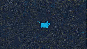 Xfce Linux Operating System, linux, artwork, art, digital-art, computer wallpaper