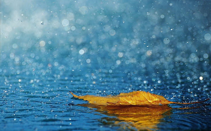 Rain , Air wallpaper