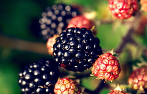 , Background wallpaper