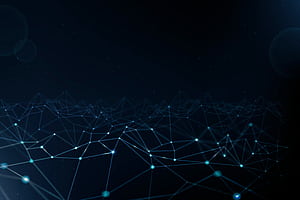 network wallpaper