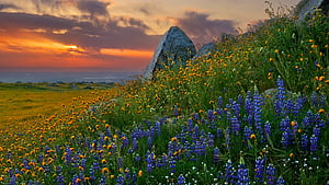 Landscape wallpaper