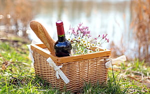 Picnic , Backgrounds wallpaper