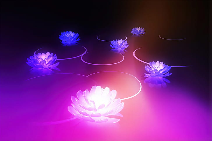 Android Flowers, android, flowers, computer wallpaper