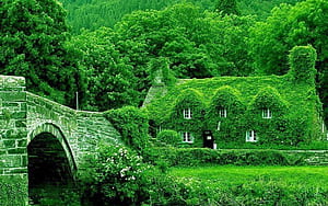 Building wallpaper