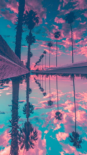 Reflection, Palm Trees phone wallpaper