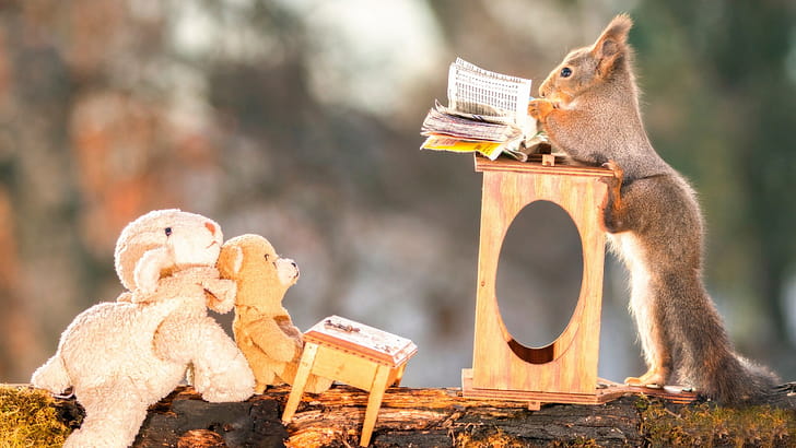 Funny squirrels, Quirky behavior, Amusing , High-resolution wallpaper